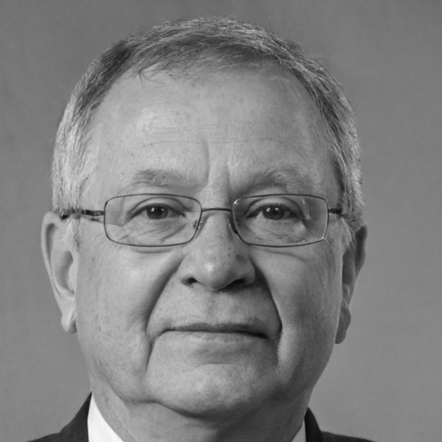 Ritratto di Raffaele Molinaro